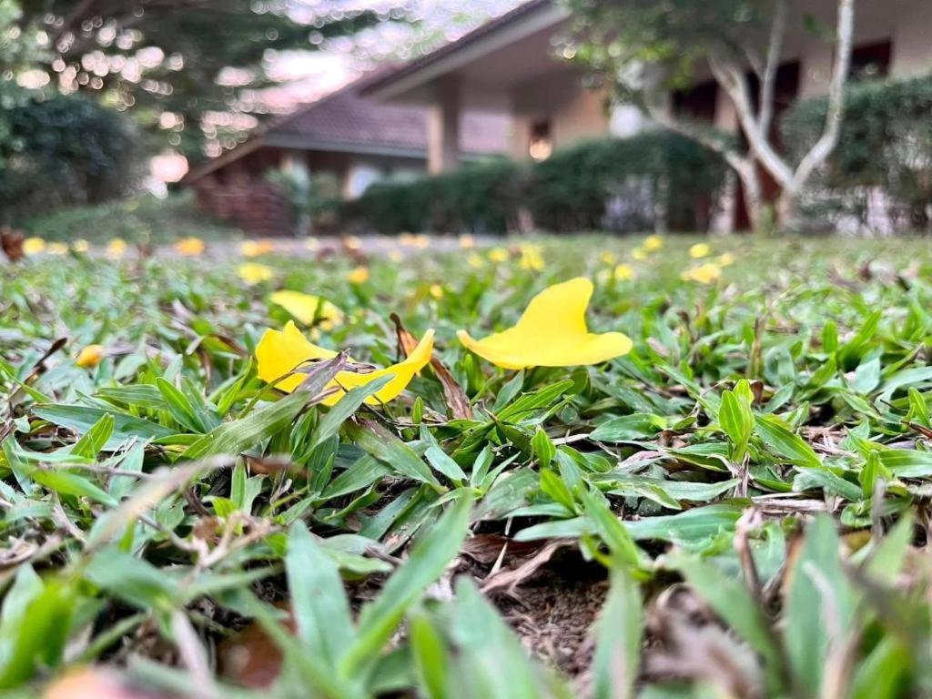 רנונג Baan Chuengkao Resort מראה חיצוני תמונה